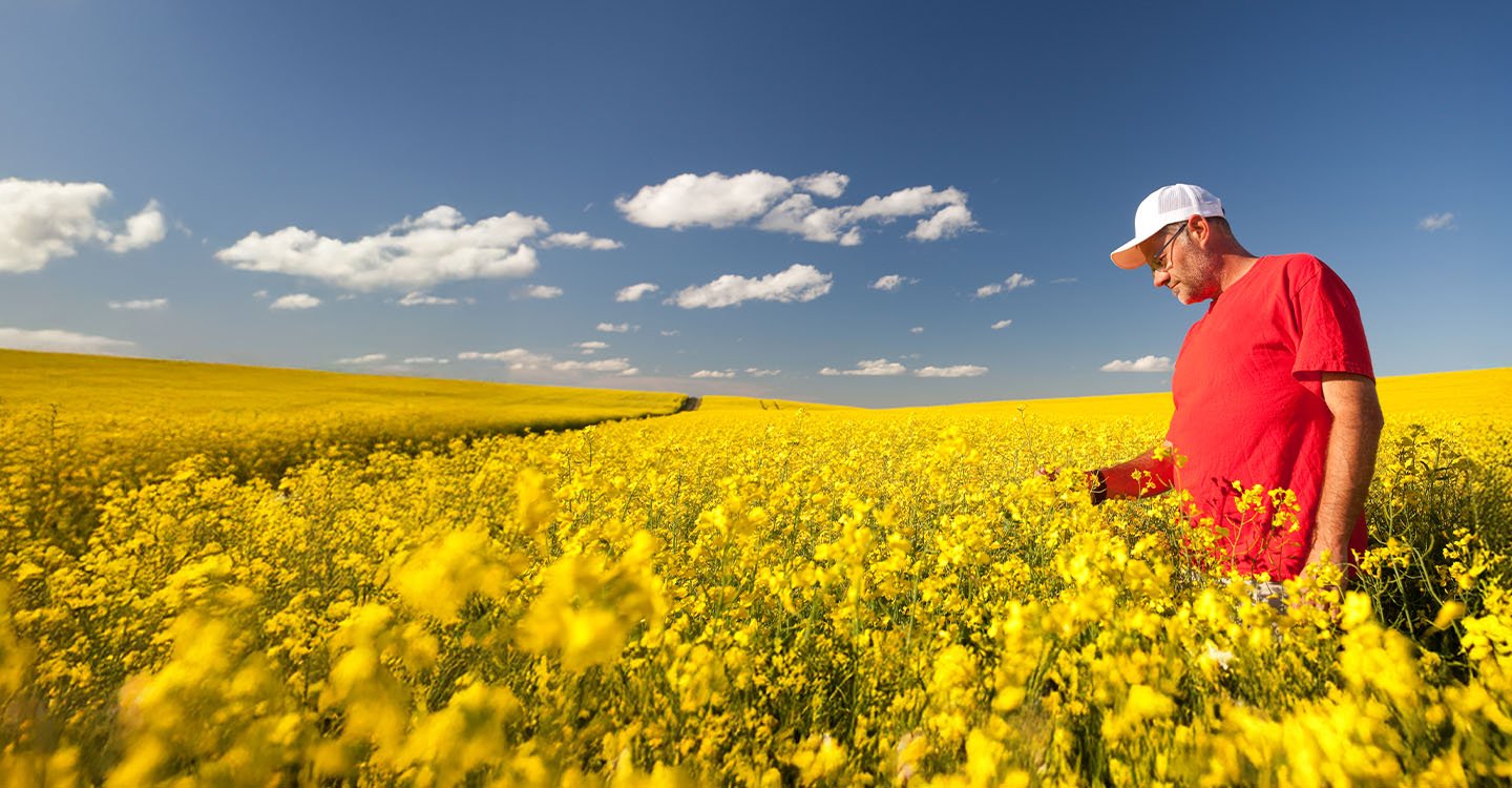 In Canada. For Canada.