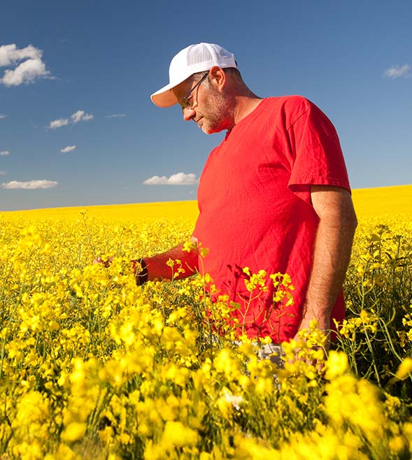 In Canada. For Canada.