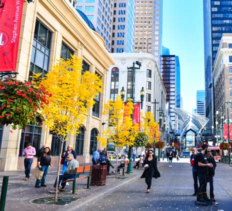 city street with trees